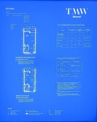 Tmw Maxwell (D2), Apartment #550322491